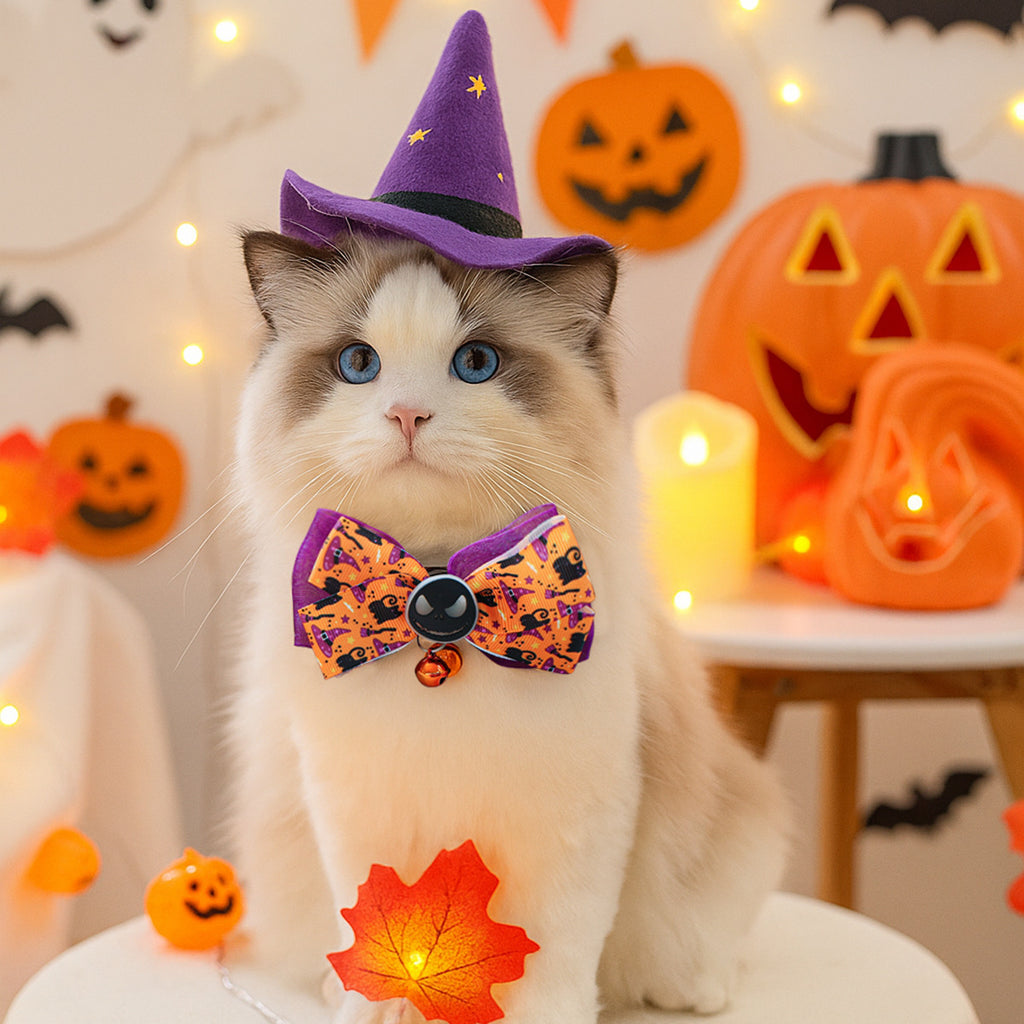 Halloween Accessories Set — Complete Your Costume